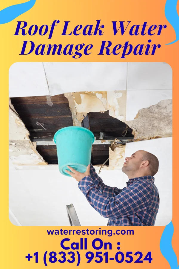 Roof Leak Water Damage Repair in New Straitsville, OH