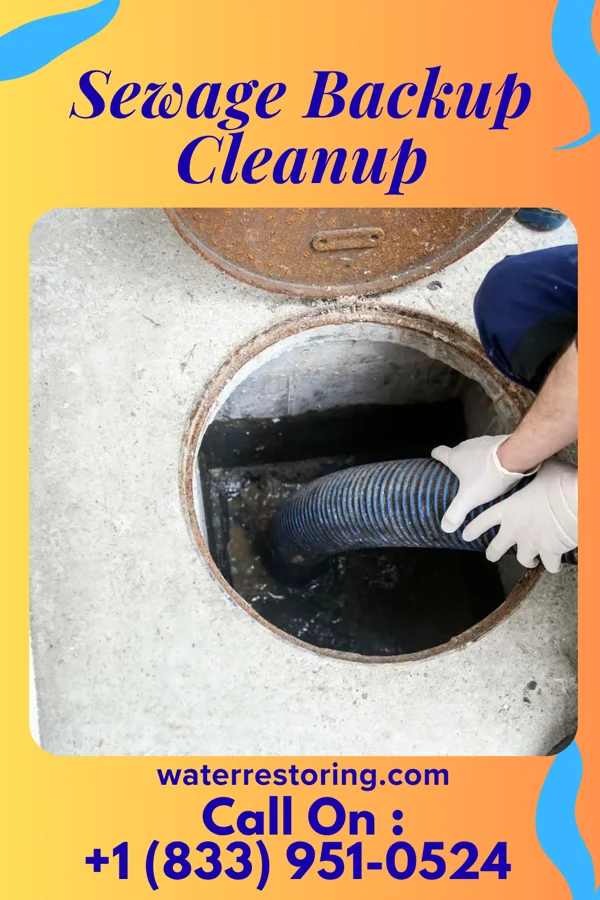 Sewage Backup Cleanup in New Straitsville, OH